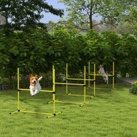 Dog agility training equipment